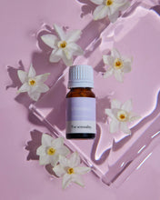 Load image into Gallery viewer, Ethereal Essential Oil Blend / 10ml
