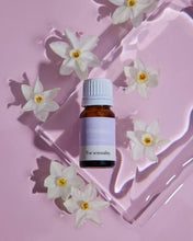 Load image into Gallery viewer, Ethereal Essential Oil Blend / 10ml