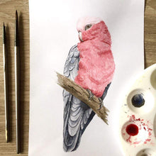 Load image into Gallery viewer, Single Galah Handkerchief / 5 Birds