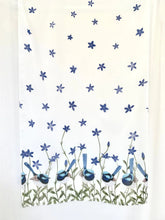 Load image into Gallery viewer, Superb Fairy Wren with Royal Bluebells Scarf