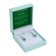Load image into Gallery viewer, Amazonite / Natural Stone Earrings
