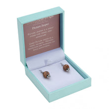 Load image into Gallery viewer, Picture Jasper / Natural Stone Earrings