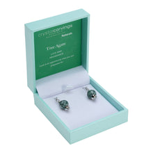 Load image into Gallery viewer, Tree Agate / Natural Stone Earrings
