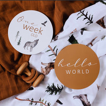 Load image into Gallery viewer, Alpha & Bronze Reversible Milestone Cards