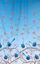 Load image into Gallery viewer, Splendid Blue Wren Scarf
