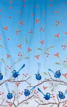 Load image into Gallery viewer, Splendid Blue Wren Scarf