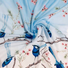 Load image into Gallery viewer, Splendid Blue Wren Scarf