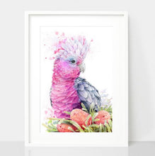 Load image into Gallery viewer, Pink Galah and Banksias Print