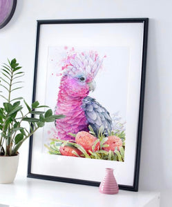 Pink Galah and Banksias Print