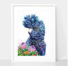 Load image into Gallery viewer, Black Cockatoo and Protea Print