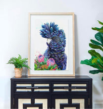 Load image into Gallery viewer, Black Cockatoo and Protea Print