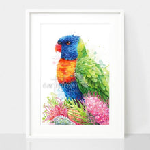 Load image into Gallery viewer, Rainbow Lorikeet and Grevilleas Print

