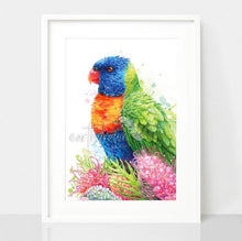 Load image into Gallery viewer, Rainbow Lorikeet and Grevilleas Print