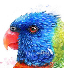Load image into Gallery viewer, Rainbow Lorikeet and Grevilleas Print