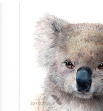 Load image into Gallery viewer, Koala and Eucalyptus Blossom Print
