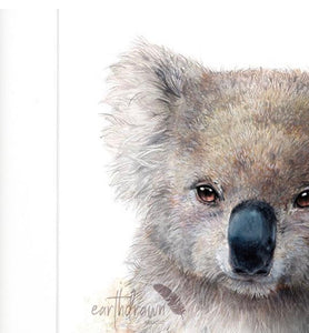 Koala and Eucalyptus Blossom Print