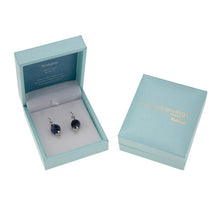 Load image into Gallery viewer, Sodalite / Natural Stone Earrings