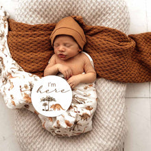 Load image into Gallery viewer, Dino / Organic Muslin Wrap