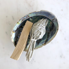 Load image into Gallery viewer, Smudge Pack / Natural Shell, White Sage & Palo Santo