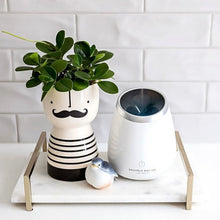 Load image into Gallery viewer, White Short Wellness Ultrasonic Diffuser / Wide Night Light