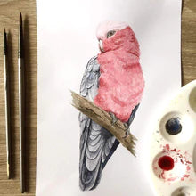 Load image into Gallery viewer, Pink and Grey Galah Scarf
